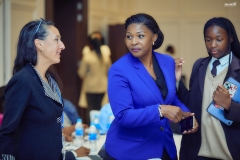 Zim-Uk-Business-Chamber-IndabaMECK7072