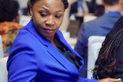 Zim-Uk-Business-Chamber-IndabaMECK7193