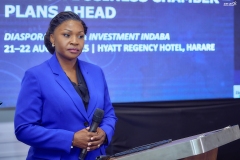Zim-Uk-Business-Chamber-IndabaMECK7291