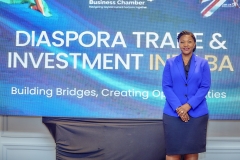 Zim-Uk-Business-Chamber-IndabaMECK7668