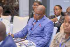 Zim-Uk-Business-Chamber-IndabaMECK7369
