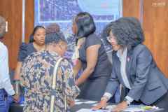 Zim-Uk-Business-Chamber-IndabaMECK7026