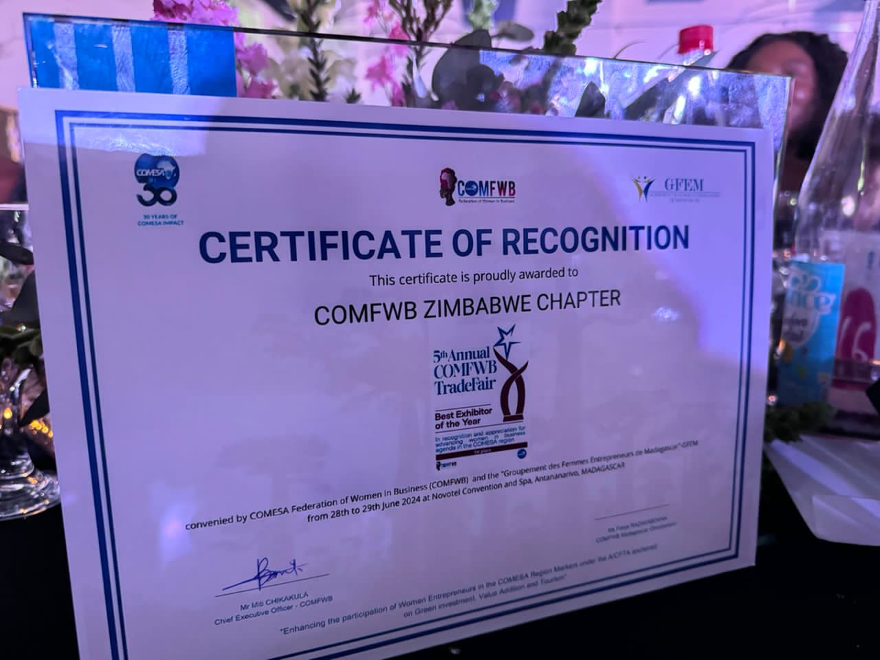 WhatsApp Image 2026-02-19 at 07.18.54